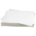 Bk Industries Bki Filter Paper - 100/Pk FI0007